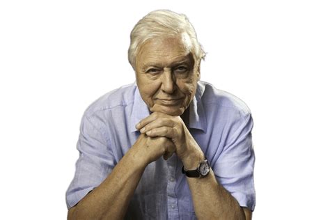 David Attenborough - Winningly Podcast Galleria Di Immagini