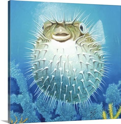 Puffer Fish | Great Big Canvas