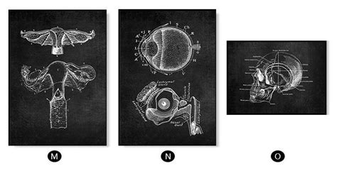 Human Anatomy Artwork Medical Print Wall Picture Skeleton Organ Muscle Retro Black White Poster ...