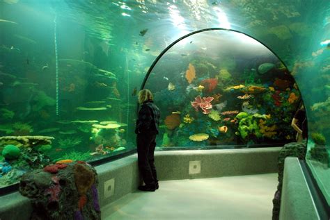 Virginia Aquarium Restless Planet - Architizer