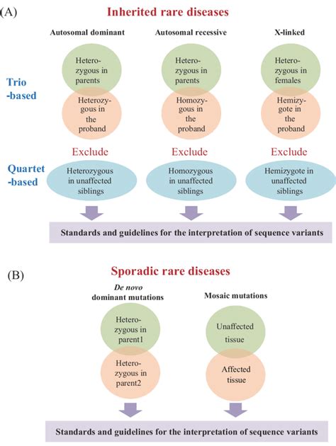 Strategies for research on genetic mutations in rare diseases. A ...