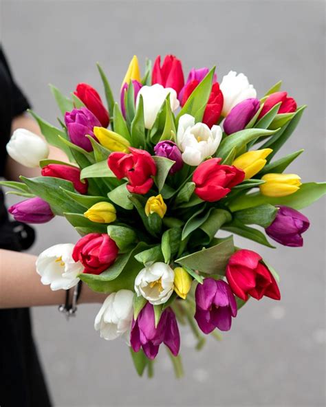 Pin on Tulip bouquets/ Buchete cu lalele