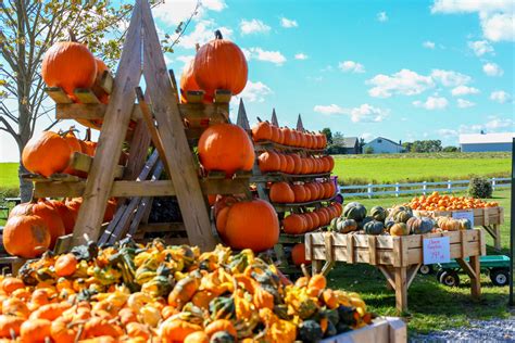 19 Alabama Hayrides for a Festive Fall Season