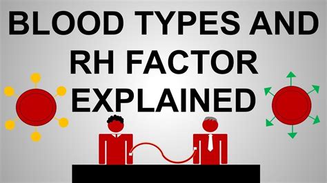 Blood Types and Rh Factor Explained - YouTube