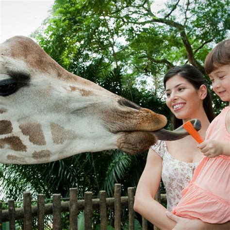 Singapore Zoo - Visit Singapore Official Site