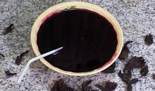 How To Start Zobo Drink Business From Home In Nigeria