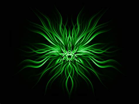 Green Fractal Bloom HD Abstract Wallpaper