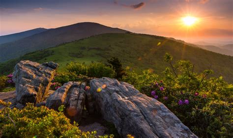 Roan Mountain, Appalachian Mountains, Tennessee wallpaper | nature and ...