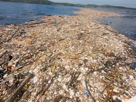 Trash Islands Are Still Taking Over the Oceans at an Alarming Rate ...