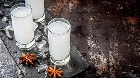 Raki: everything you should know about the raki drink