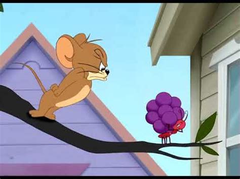 Tom and Jerry Tales - Little Big Mouse 2007 - Funny animals cartoons for kids - YouTube