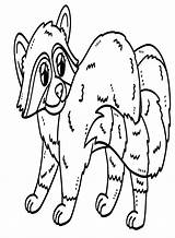 Mother Raccoon For Kids Coloring Page  Free Printable Pages sketch template