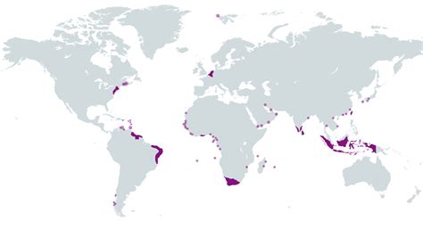 Dutch Colonial Empire - Maps on the Web