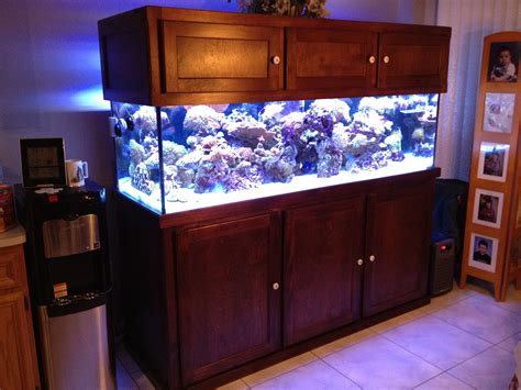 150 Gallon Fish Tank And Stand - Wese Aquarium Fish