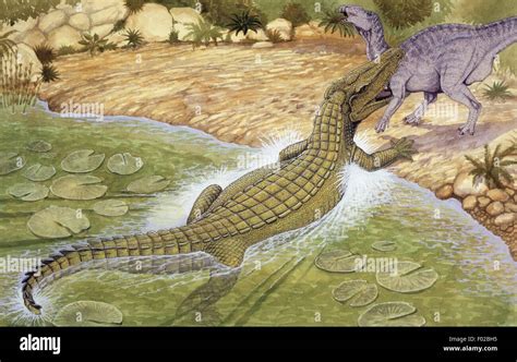 Palaeozoology - Cretaceous period - Dinosaurs - Deinosuchus - Art work by Graham Rosewarne Stock ...