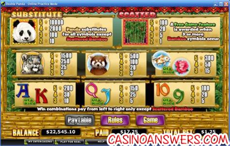 Double Panda Video Slot Guide & Review - Casino Answers!