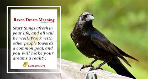 What Does It Mean To See A Raven in Your Dream? Interpretation And ...