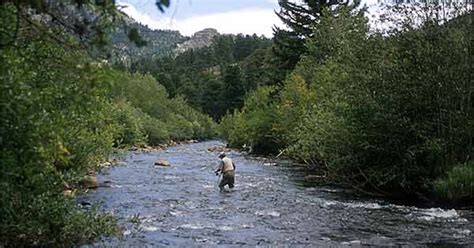 Big Thompson River Fishing Report - Drake, Colorado