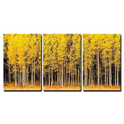 3 Piece Canvas Wall Art - Misty For... - Canvas Art