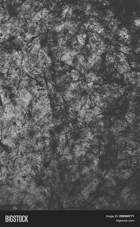 Grey Paper Texture. Image & Photo (Free Trial) | Bigstock