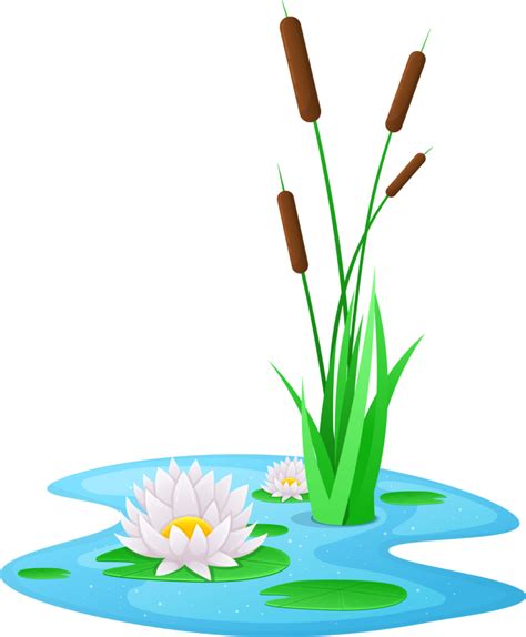 Water lily clipart 26749134 PNG