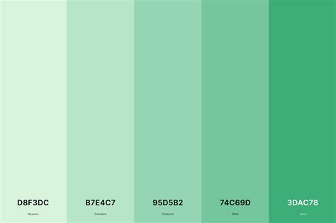 35+ Best Green Color Palettes with Names and Hex Codes – CreativeBooster