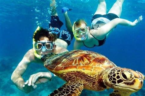 Guided Coral Reef Snorkeling Tour 2022 - Rincón - Viator