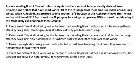 Solved Mice homozygous or heterozygous for a mutation | Chegg.com