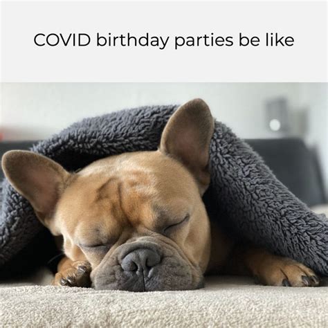 Free COVID Funny Birthday Memes Maker | Adobe Express