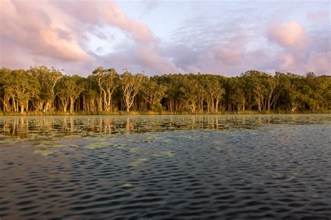 A Complete Guide To Visiting The Noosa Everglades