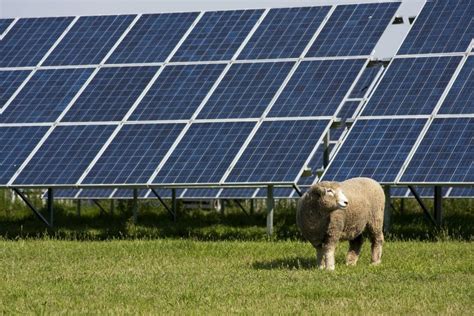 New Research Shows Farms Are the Best Land For Solar Panels - Modern Farmer