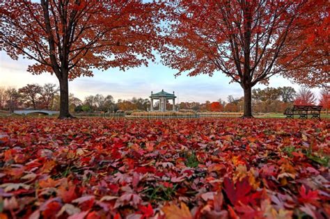 Fall Foliage Around the Forest Park Bandstand in St. Louis, Missouri ...