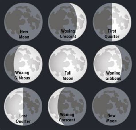 The Phases of the Moon—a Middle School Science Hands-on Lesson | Owlcation