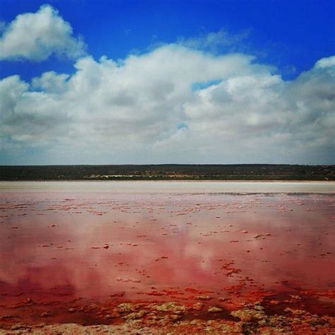 Pink Lake, Esperance Perth, Melbourne, Pink Lake, Ocean Indien, Lake Water, Natural Phenomena ...