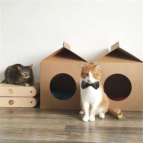 Cardboard house box Pet house Cat house modern Cardboard box | Dog ...