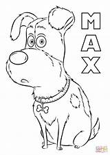 Max From The Secret Life Of Pets coloring Page  Free Printable sketch template