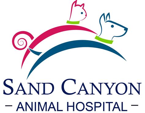 Veterinarian in Santa Clarita, CA | Sand Canyon Animal Hospital