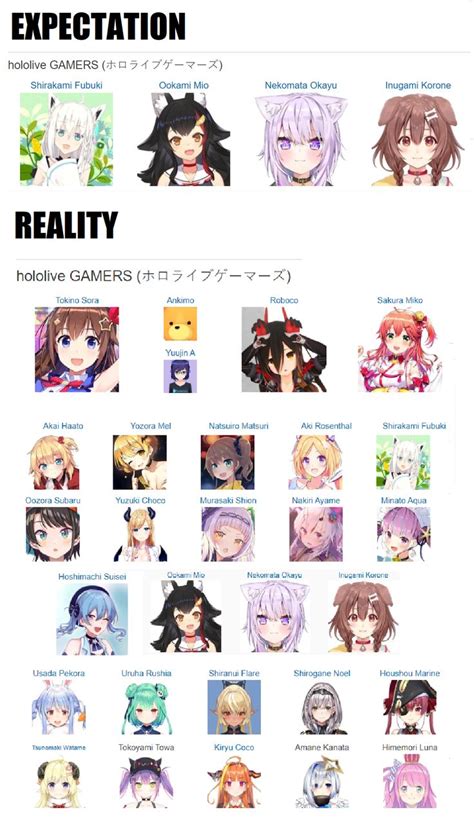 "Hololive is a group of Virtual Idols" | Hololive | Anime memes funny ...