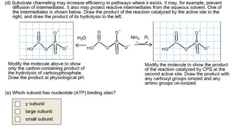 Solved Carbamoyl phosphate synthetase (CPS) synthesizes | Chegg.com