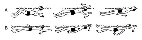 File:Backstroke (PSF).png - Wikipedia