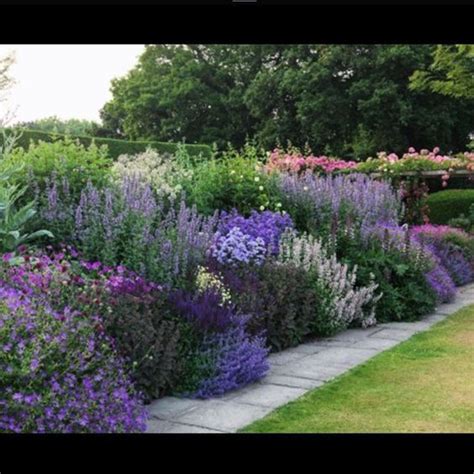 I love tall billowing perennials and this herbaceous border is just ...