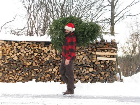 13 Beautiful Christmas Tree Farms in Vermont Where You Can Cut Your Own