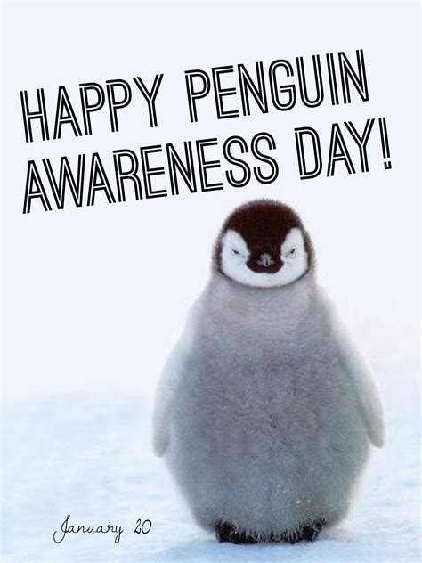 annies home: Penguin Awareness Day