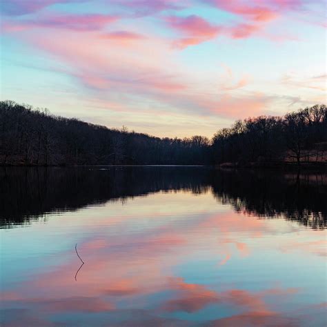 Swan Lake Sunset Photograph by Marianne Campolongo | Pixels