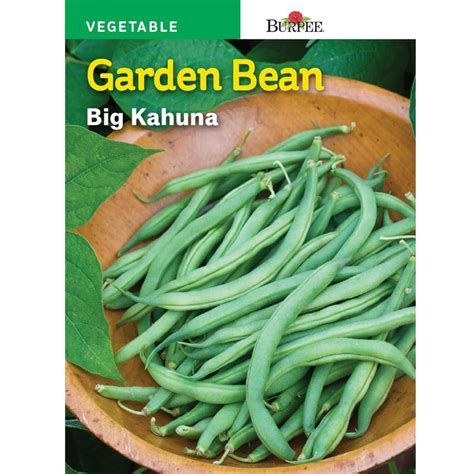 Reviews for Burpee Bean Bush Snap Big Kahuna Seed | Pg 1 - The Home Depot