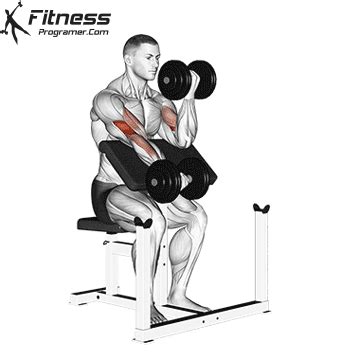 Dumbbell Alternate Preacher Curl » Workout Planner