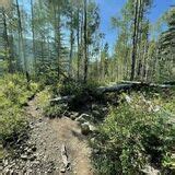 Purgatory Trail - Colorado | AllTrails