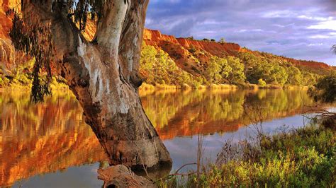 South Australia's Riverland is a special place where the cool, meandering river feeds wetlands ...