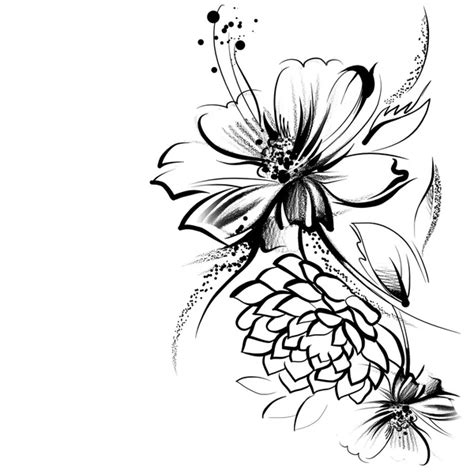 Flowers, drawn in ink on a white paper — Stock Photo © allween #45575795