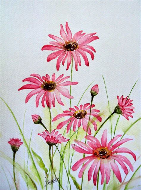 Pretty Pink Daisies - fabulous flowers...exquisite, visually appealing ...